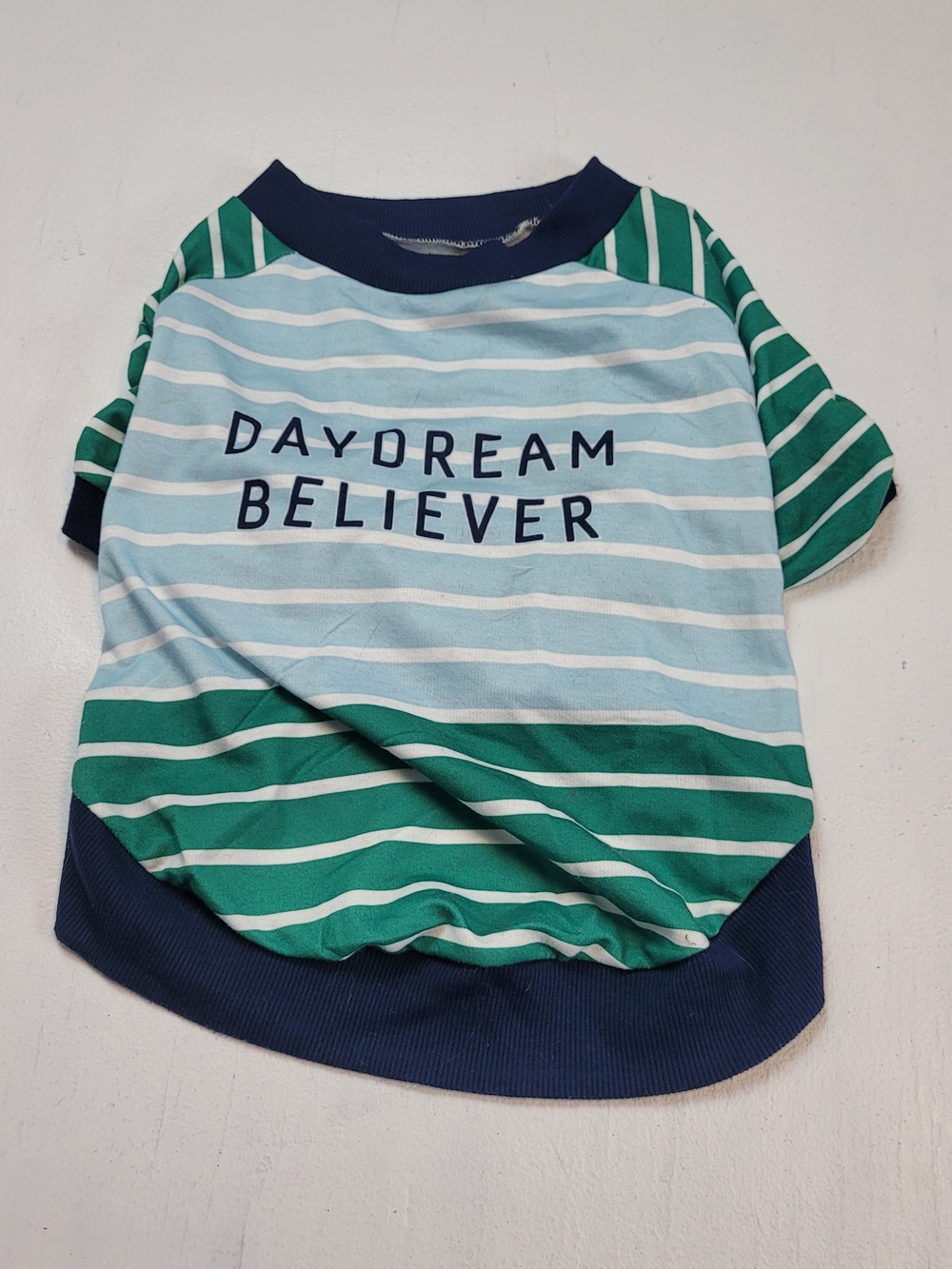 Daydream believer dog shirt